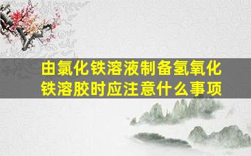 由氯化铁溶液制备氢氧化铁溶胶时应注意什么事项