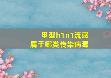 甲型h1n1流感属于哪类传染病毒