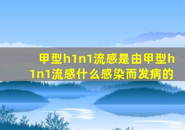 甲型h1n1流感是由甲型h1n1流感什么感染而发病的