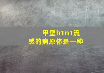 甲型h1n1流感的病原体是一种