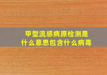 甲型流感病原检测是什么意思包含什么病毒