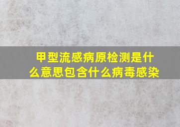 甲型流感病原检测是什么意思包含什么病毒感染