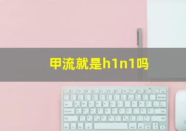 甲流就是h1n1吗