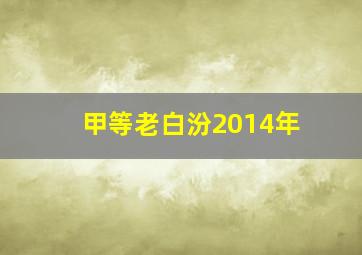 甲等老白汾2014年