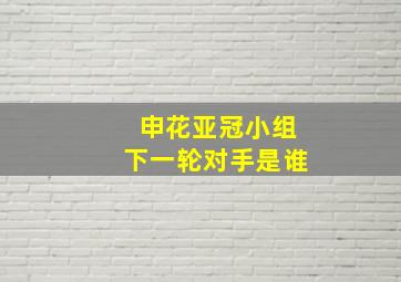 申花亚冠小组下一轮对手是谁