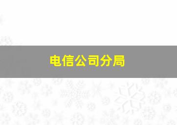 电信公司分局