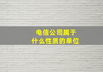 电信公司属于什么性质的单位