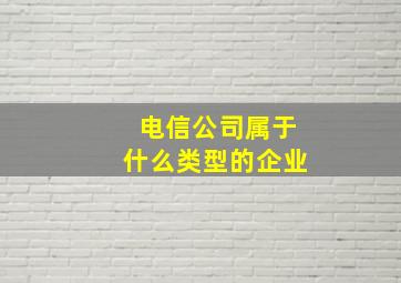 电信公司属于什么类型的企业