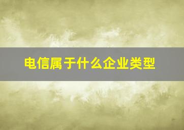 电信属于什么企业类型