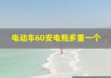 电动车60安电瓶多重一个