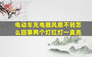 电动车充电器风扇不转怎么回事两个灯红灯一直亮