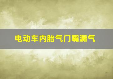 电动车内胎气门嘴漏气