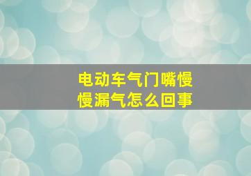 电动车气门嘴慢慢漏气怎么回事