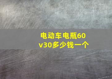 电动车电瓶60v30多少钱一个