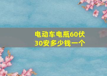 电动车电瓶60伏30安多少钱一个