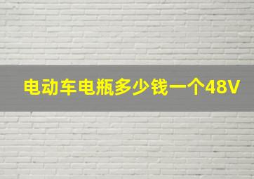 电动车电瓶多少钱一个48V