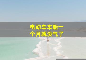 电动车车胎一个月就没气了