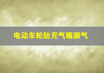 电动车轮胎充气嘴漏气