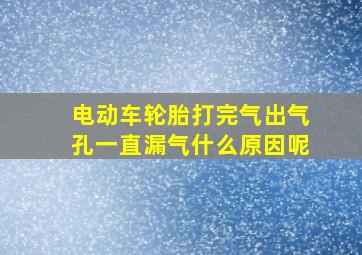 电动车轮胎打完气出气孔一直漏气什么原因呢