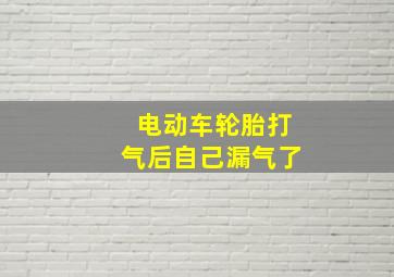 电动车轮胎打气后自己漏气了