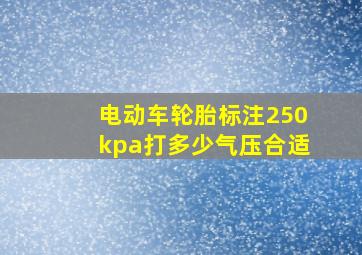 电动车轮胎标注250kpa打多少气压合适