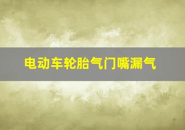 电动车轮胎气门嘴漏气