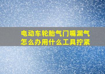 电动车轮胎气门嘴漏气怎么办用什么工具拧紧