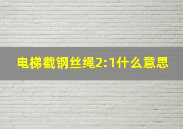 电梯截钢丝绳2:1什么意思