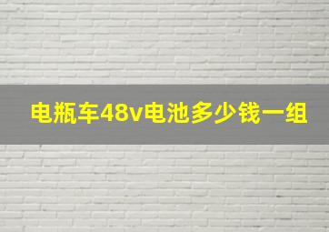 电瓶车48v电池多少钱一组