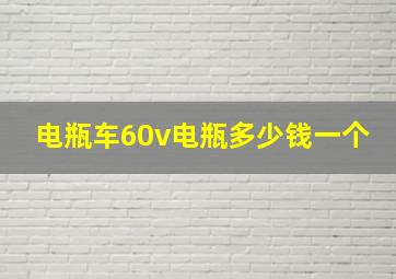 电瓶车60v电瓶多少钱一个