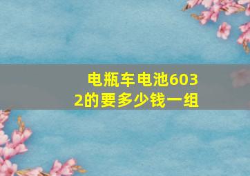 电瓶车电池6032的要多少钱一组