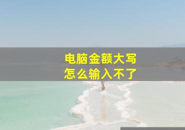 电脑金额大写怎么输入不了