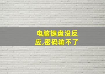 电脑键盘没反应,密码输不了