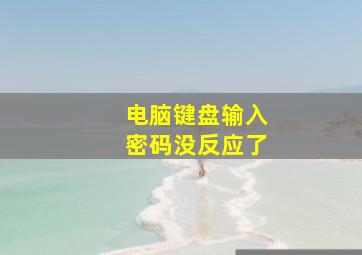 电脑键盘输入密码没反应了