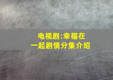 电视剧:幸福在一起剧情分集介绍