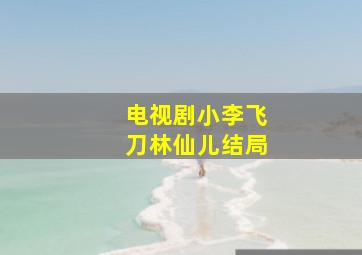 电视剧小李飞刀林仙儿结局