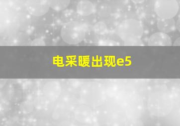 电采暖出现e5