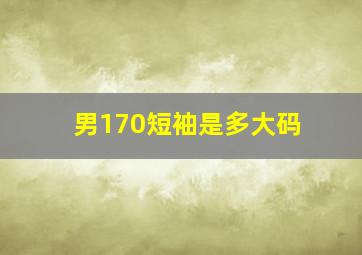 男170短袖是多大码