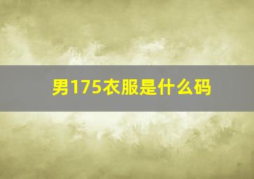 男175衣服是什么码