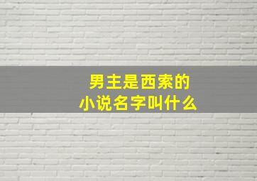 男主是西索的小说名字叫什么