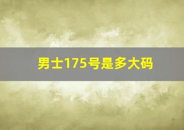 男士175号是多大码