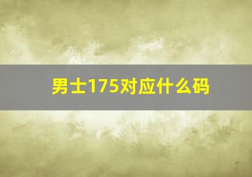 男士175对应什么码