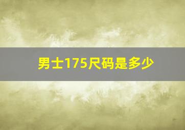 男士175尺码是多少