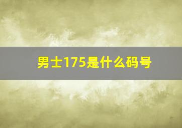 男士175是什么码号