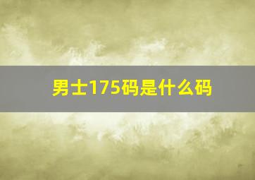 男士175码是什么码