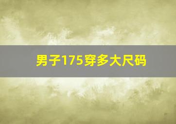 男子175穿多大尺码