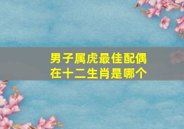 男子属虎最佳配偶在十二生肖是哪个