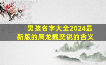 男孩名字大全2024最新版的属龙魏奕锐的含义