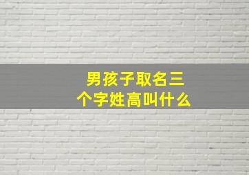 男孩子取名三个字姓高叫什么