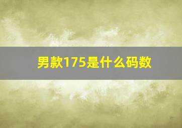 男款175是什么码数